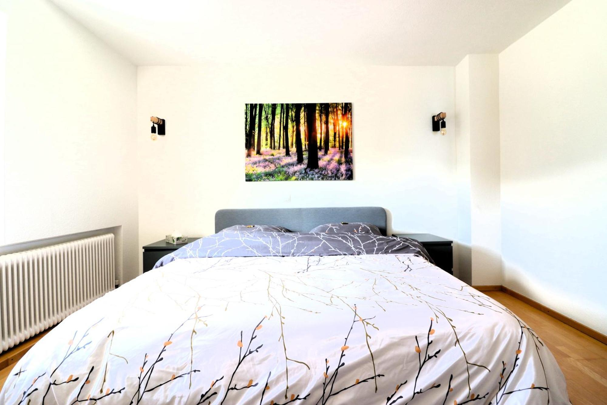 Montfort Apartments - Фельдкирьх Номер фото